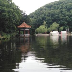 我不是小菜头像