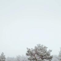 奋斗的青春会更好头像