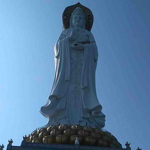西西哈哈哈哈哈头像