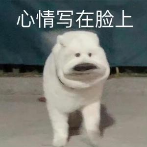 神秘海风GYP头像