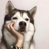伍陆柒Wl头像