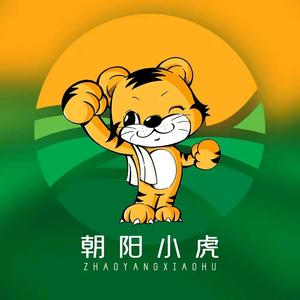 成都新朝阳王军头像