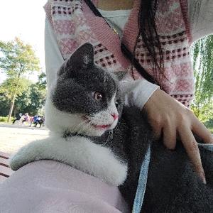 郭小怂追剧头像