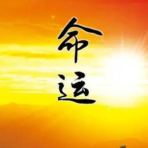 福音易学堂主头像