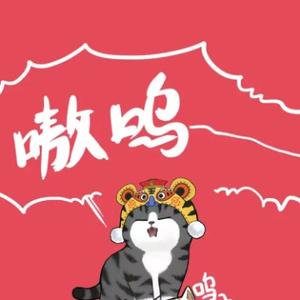 风少老师头像
