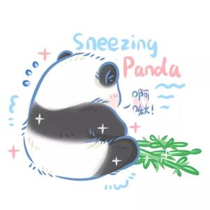正直小云剪辑头像