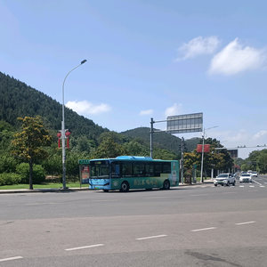 油菜花树山头像