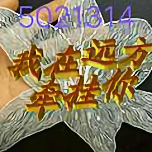 快乐费伊3头像