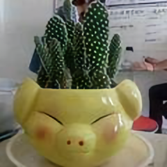 南京北站汊河一手房头像