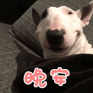 富贵的在天头像