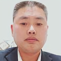 高原青松头像