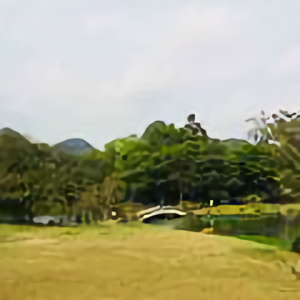 沙海龙羊头像