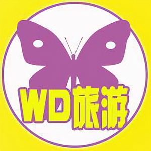 维度思维头像