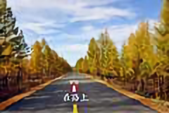 体育历史爱好者在路上 头像