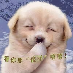 帅衰哥哥头像