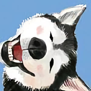 FFFung头像
