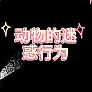 动物的迷惑行为