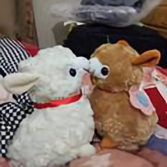 小Q老师头像