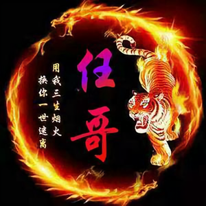 任吾踏苍穹818头像