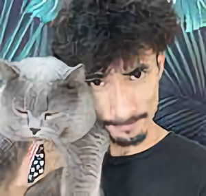 不务正业的猫爸头像