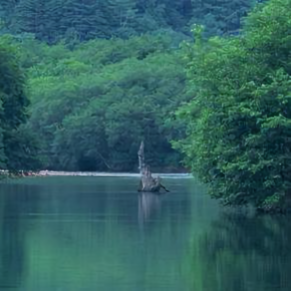 川川说趣事头像