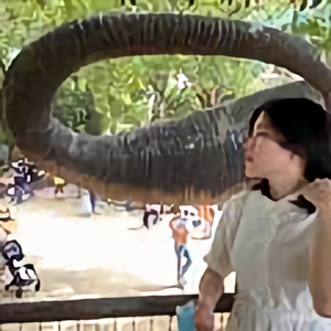 了不起的杨月月头像