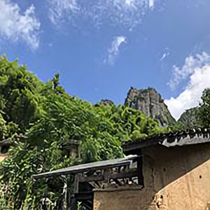米粿剪辑头像