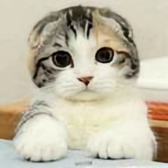 娜姐丶头像