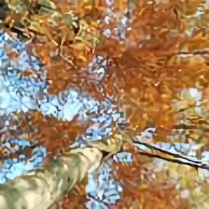 清风末末头像