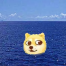 andyblock头像