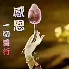 王铁虎头像