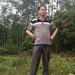 百灶村斗鸡头像