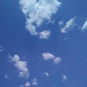旅游狂人1003头像