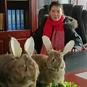 顺通种兔养殖头像