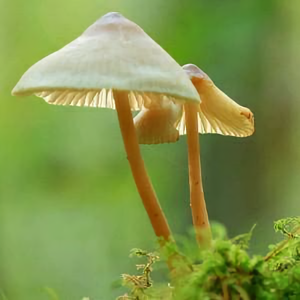 云晓说剧头像