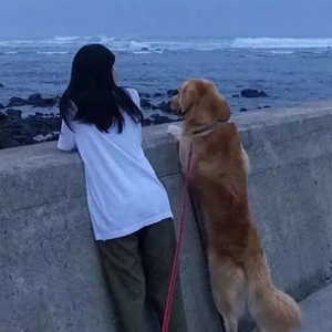 文小婧头像