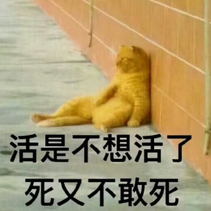 A独孤求败O头像
