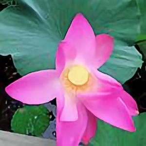 蜗牛教育yyxx头像