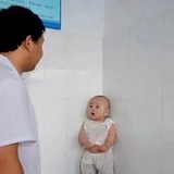 博学多才正直张头像