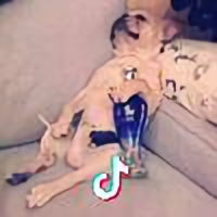 重置简科头像