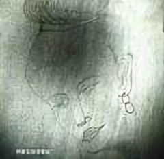 彭世军狂草书法头像