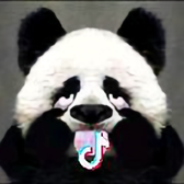 小彭友头像