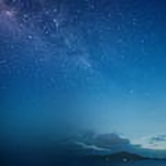 茂盛的森林17头像