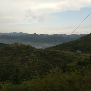 指柔发丝头像