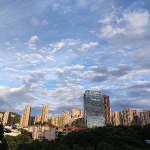 兰蕙lanhui头像