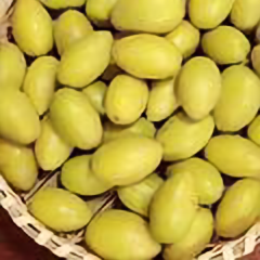 潮汕特产三棯橄榄甜种头像