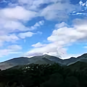 0骑着蜗牛看风景0头像