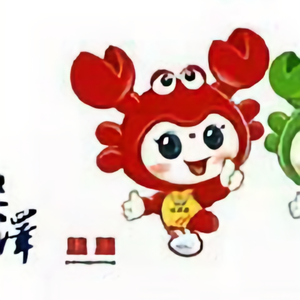 苏北张金如头像