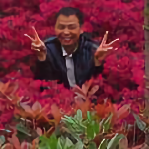 波娃770头像