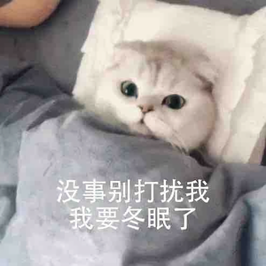 想想想想想咩头像